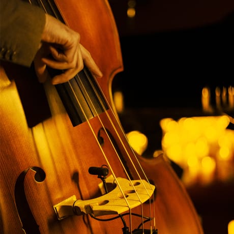 Photo 2 from Candlelight Jazz: The Best of Frank Sinatra & Nat King Cole