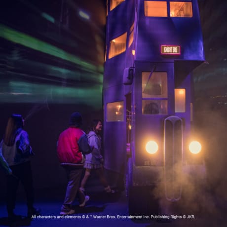 Photo 2 from Harry Potter: Visions of Magic