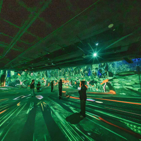 Photo 4 from The Brazil of Tarsila - Immersive Exhibition