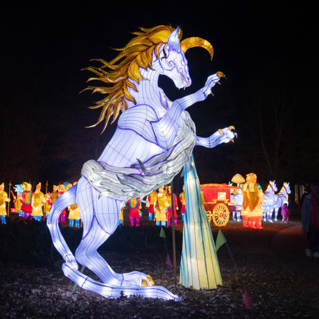 Foto 6 von Autumn Glow Festival - New Rochelle, NY