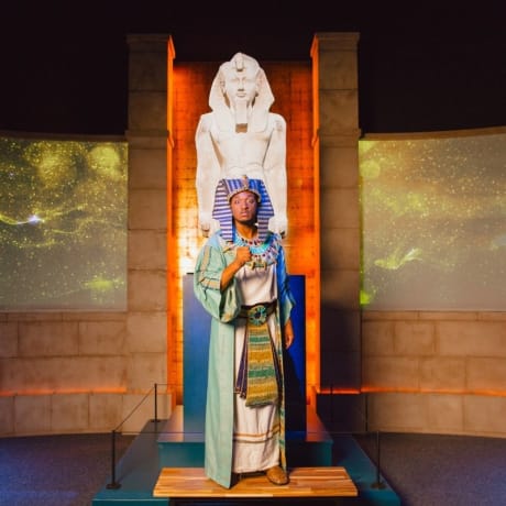 Photo 5 from Horrible Histories Tour Live At The Museum