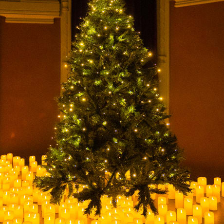 Photo 3 from Candlelight: Christmas Classics