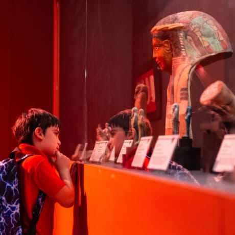Photo 3 from Cleopatra: The Immersive Exhibition