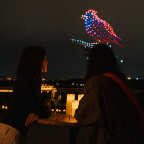 Photo 4 from DroneArt Show: Music That Lights Up the Night