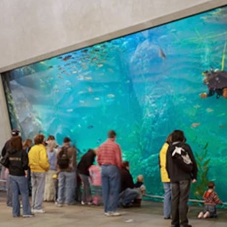 Foto 5 de Acuario de Seattle: Entrada