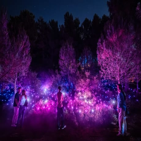 Photo 4 from Astra Lumina İstanbul: An Enchanting Night-time Walk Among the Stars