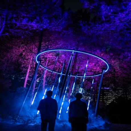 Photo 2 from Astra Lumina İstanbul: An Enchanting Night-time Walk Among the Stars
