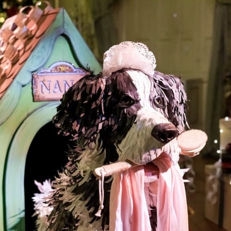 Photo 2 from Neverland - An Indoor Peter Pan Experience