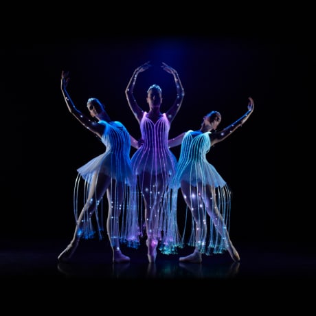 Ballet of Lights - Carte-Cadeau - photo 5