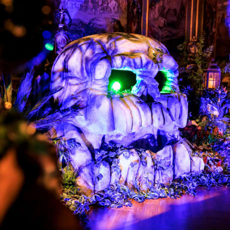 Photo 4 from Neverland - An Indoor Peter Pan Experience
