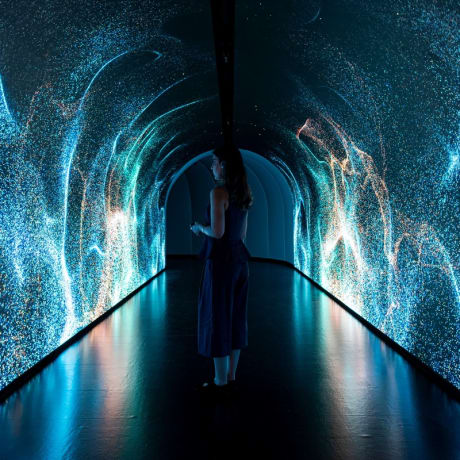 Photo 12 from The Timewalk Exhibition -Walk Through 12,000 Years of Human History