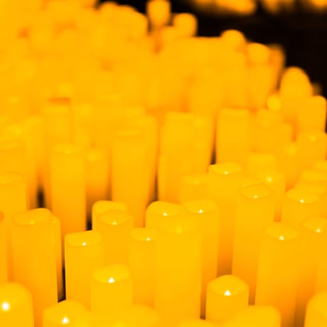 Foto 4 von Candlelight: Vivaldis „Vier Jahreszeiten“