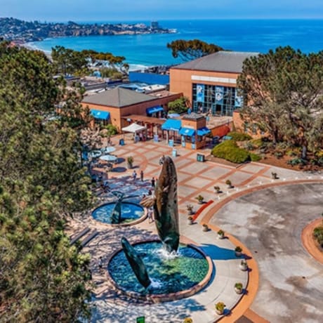 Photo 1 from Birch Aquarium: Entry Ticket