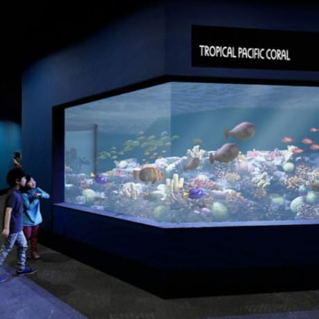 Photo 4 from Birch Aquarium: Entry Ticket