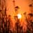Magic Sunsets by Calzedonia