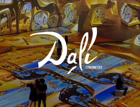 Dalí Cybernetics: The Immersive Experience