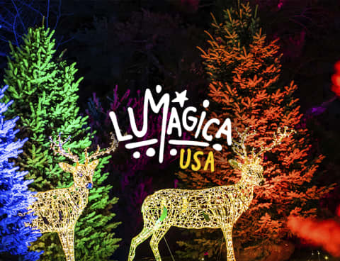 LUMAGICA: An Enchanted Forest