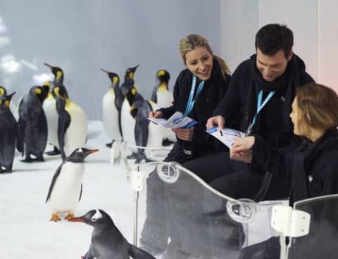 Penguin Passport Experience at SEA LIFE Melbourne