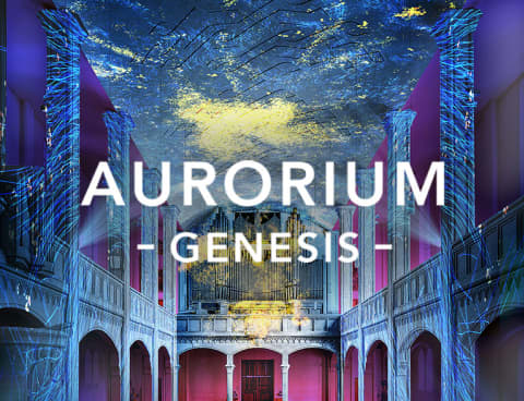 Aurorium presents: Genesis, eine immersive Lichtshow