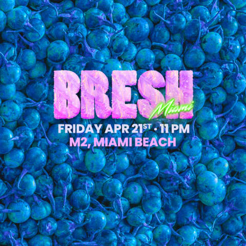 BRESH: The Most Beautiful Party in the World