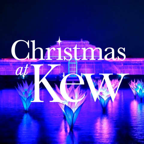 Christmas at Kew