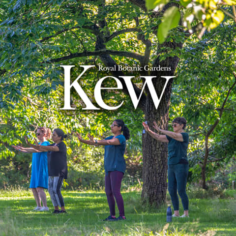 Tai Chi Sessions at The Royal Botanic Gardens, Kew