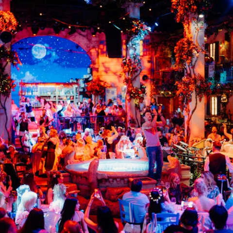 Mamma Mia! The Party