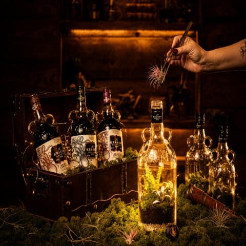 The Kraken’s Living Relic: Terrarium MasterClass