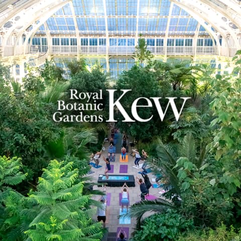 Temperate House Yoga Experience at The Royal Botanic Gardens, Kew