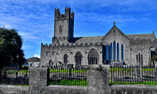 Saint Mary's Cathedral Limerick 1