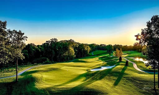 The Cardinal at St. John's 2