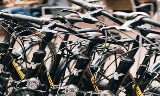 Trixi Bike Rental & Tour Trixi Bike Rental & Tour 3