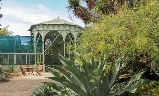 The Ruth Bancroft Garden 2