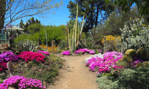The Ruth Bancroft Garden 3