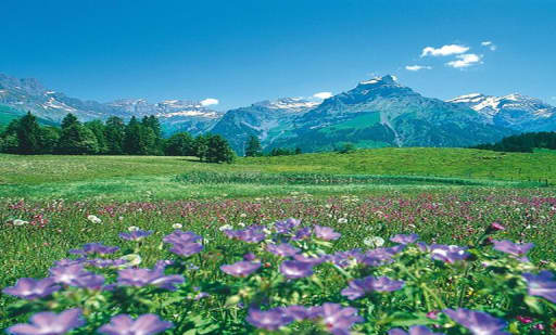 Best of Switzerland Tours AG, Sihlquai Coach Parking Best of Switzerland Tours AG, Sihlquai Coach Parking 3