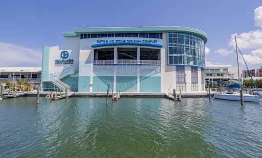 Clearwater Marine Aquarium 1