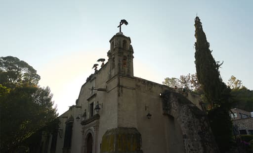 Museo Dolores Olmedo 1