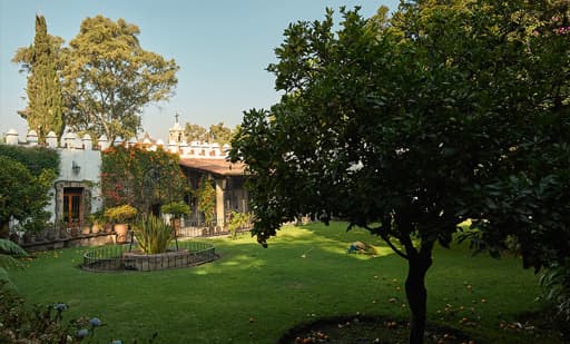 Museo Dolores Olmedo 2