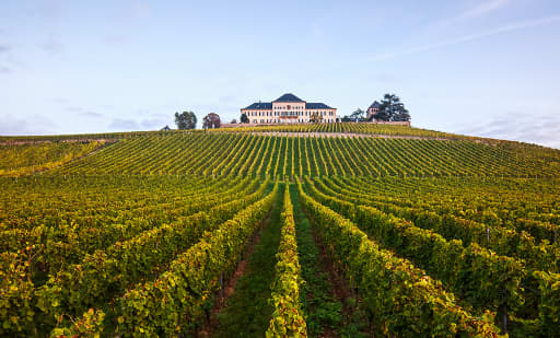 Schloss Johannisberg - Fürst von Metternich Saal 1
