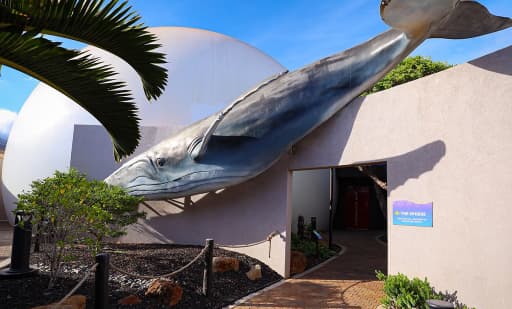 Maui Ocean Center, The Aquarium of Hawaii 2