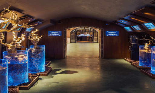 Les Caves du Louvre 1
