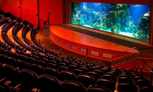 Auditorio Mar Rojo - Oceanogràfic València 1