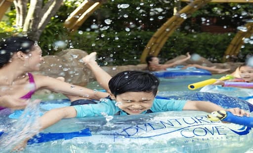 Adventure Cove Waterpark 2