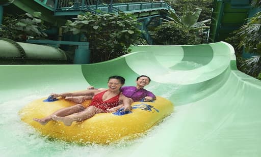 Adventure Cove Waterpark 3