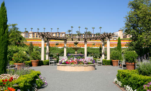 The Flower Fields 1
