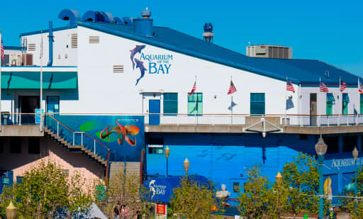 Aquarium of the Bay 1