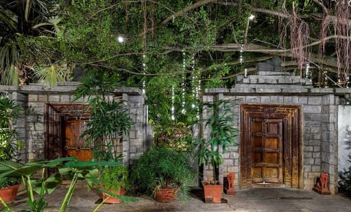 The Tamarind Tree 2