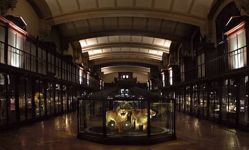 Gallery of Evolution 3
