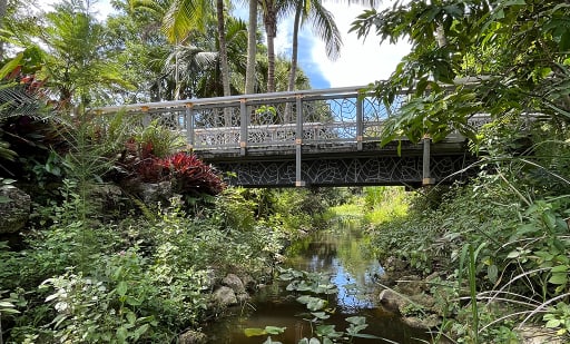 Mounts Botanical Garden 3