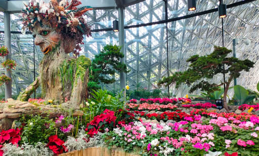 Floral Fantasy 4
